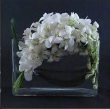 Modern Floral Arrangement - $175 (Style 3)